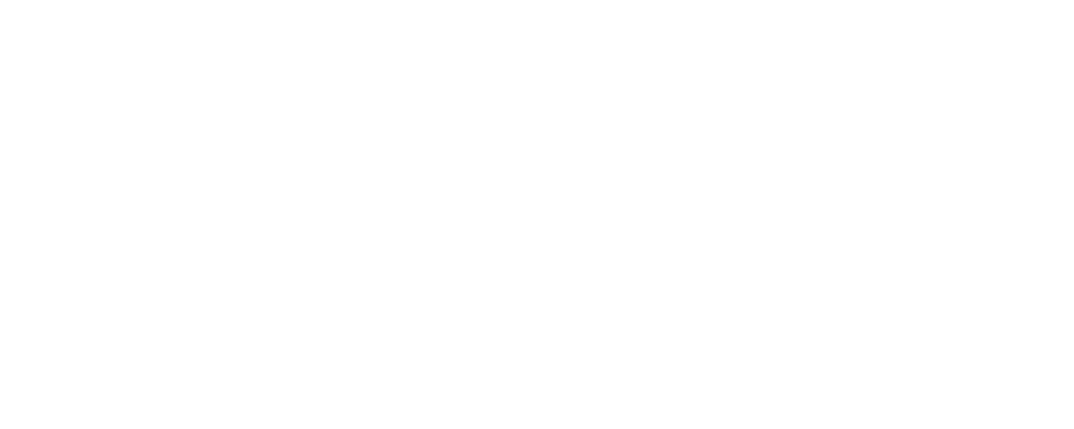 Drive Dealer Marketing